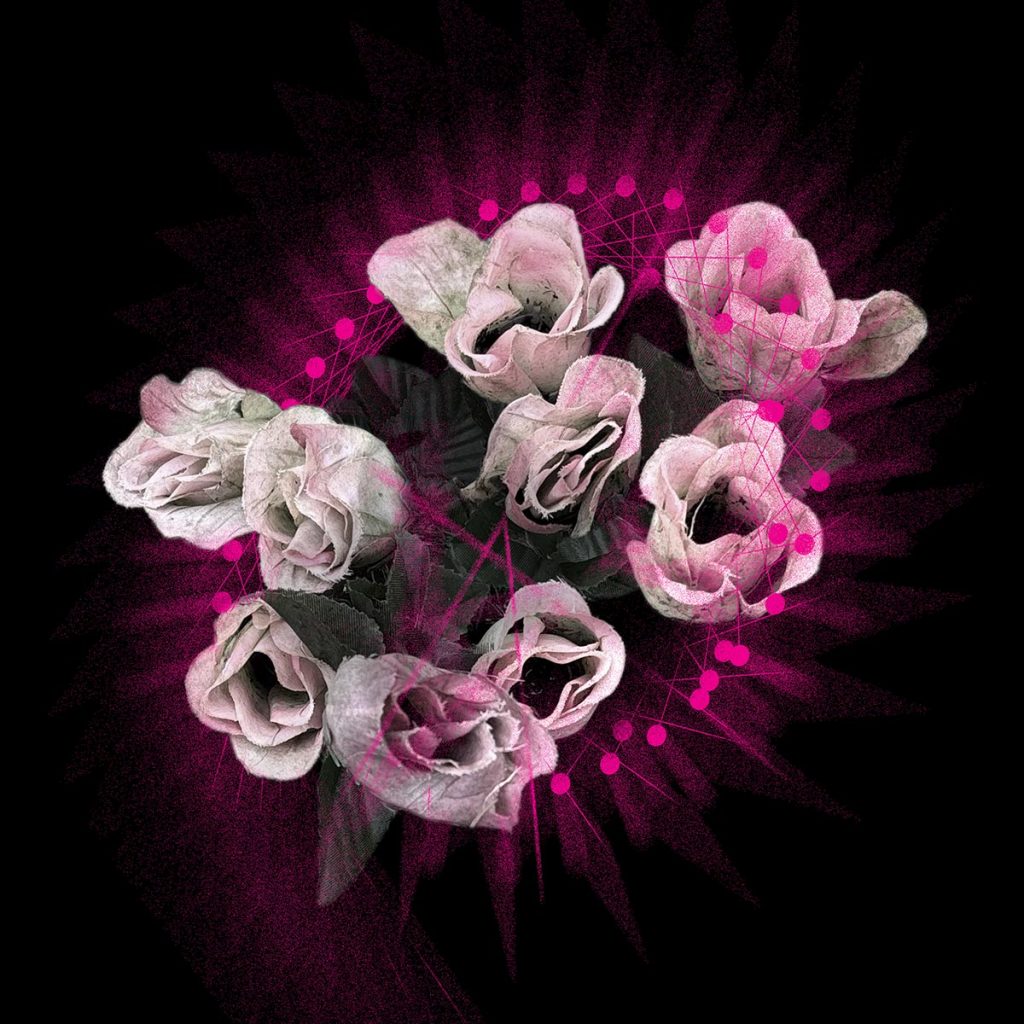 Elenoiid Music – Flowers – Single cover art